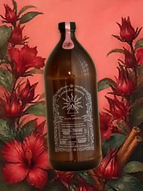 Kombucaguama 1 L de Jamaica + Canela