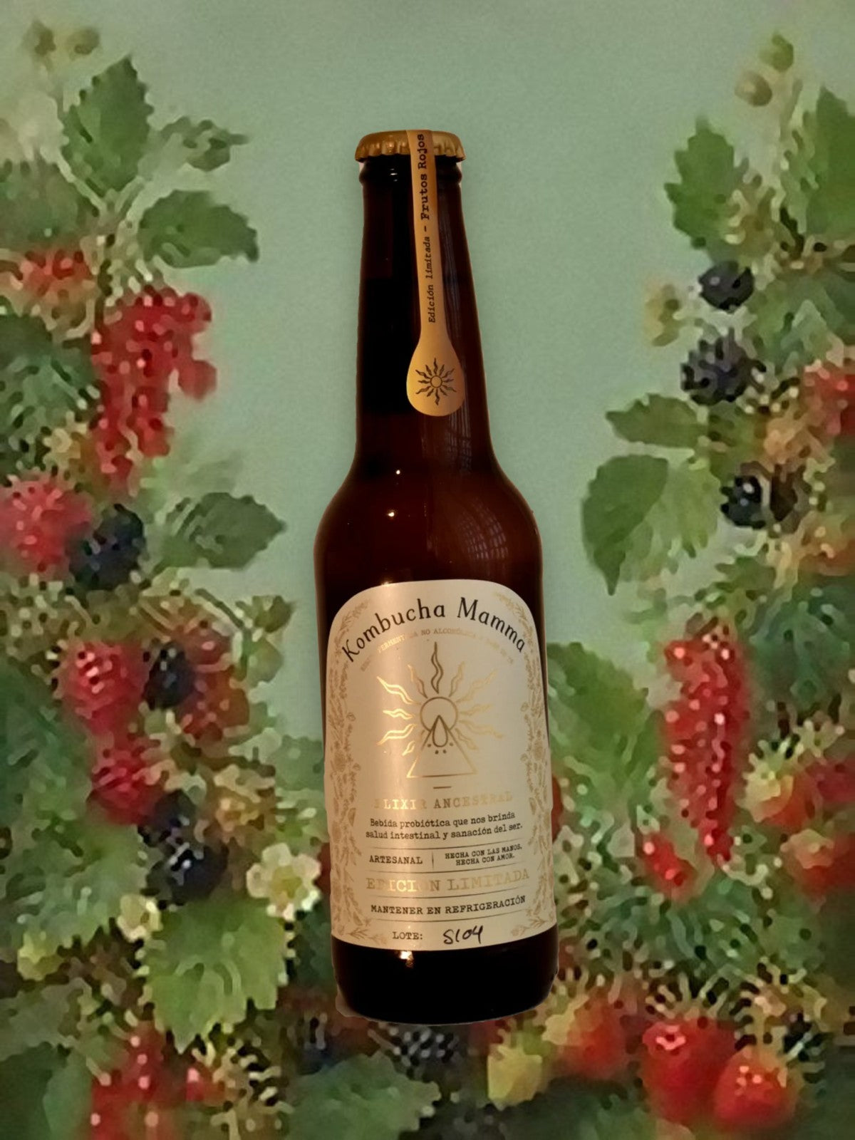 Kombuchita 355 ml de Frutos Rojos