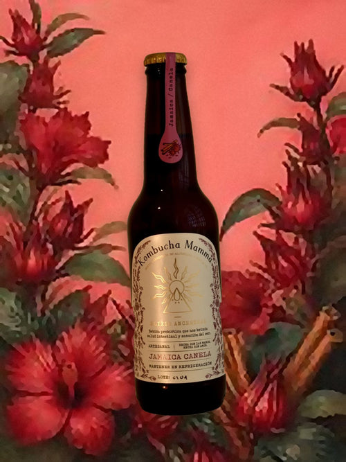 Kombuchita 355 ml de Jamaica + Canela