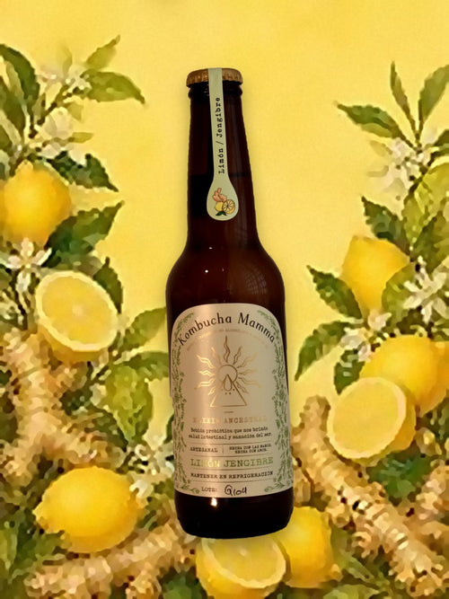 Kombuchita 355 ml de Limón + Jengibre